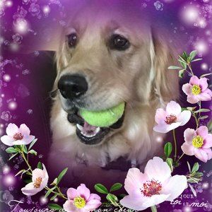 Meet your Posher, Heidi